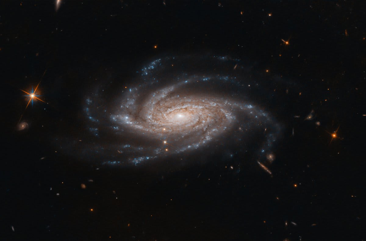 Day 14 of the 2020 Hubble Space Telescope Advent Calendar: A Distant Spiral. The light shining from the stars in spiral galaxy NGC 2008 traveled through space for the past 425 million years, to be captured by Hubble's sensors and composed into this image.