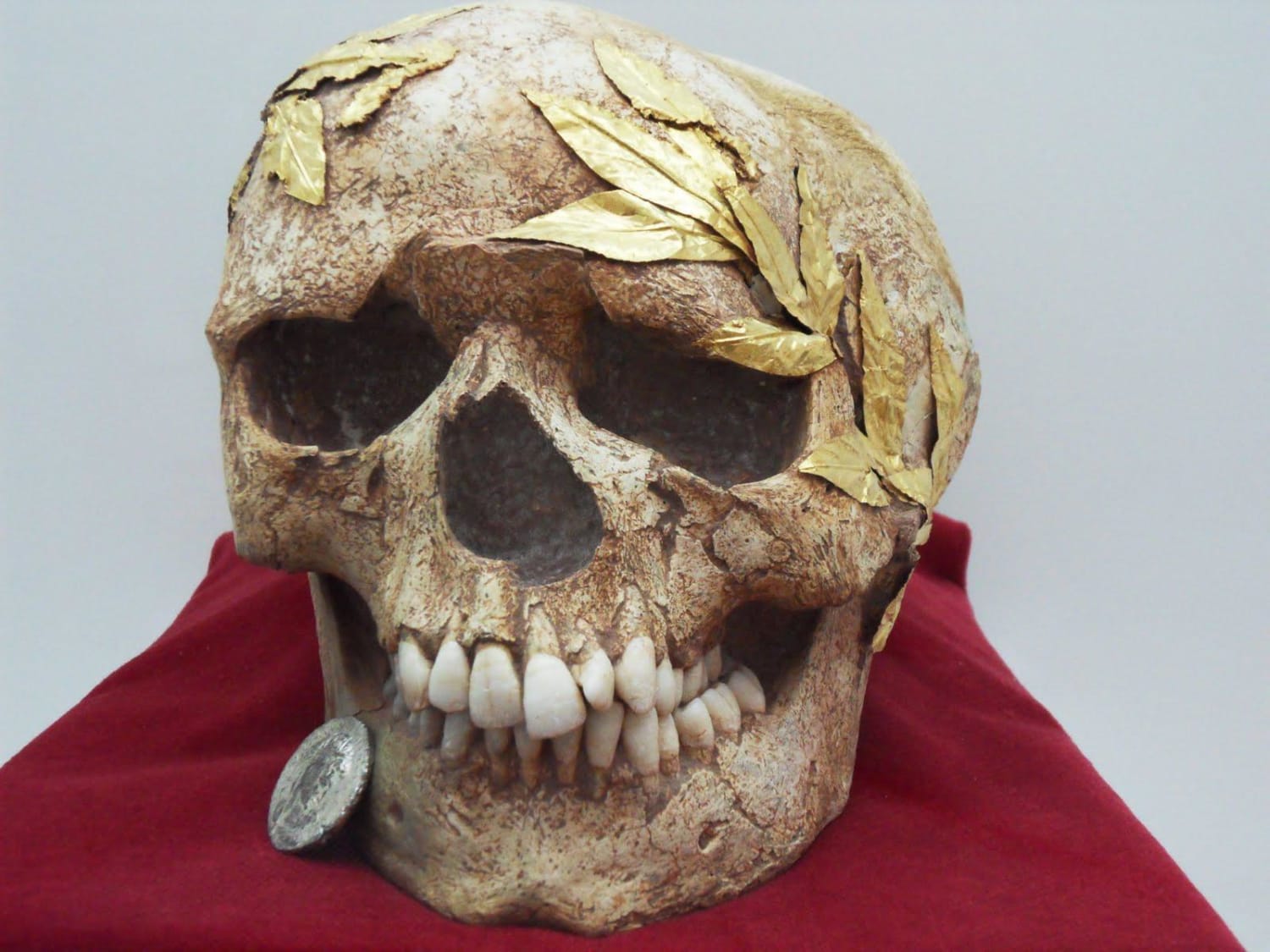 Skull of a crowned athlete with a gold wreath from Agios Nikolaos, Crete, of the Hellenistic period. The flesh melted with time, but the wreath stuck and remained on the skull.
