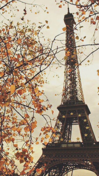 Pin by Carolina Mottl on Autumn around the World | Best vacation destinations, Eiffel tower, Tour eiffel