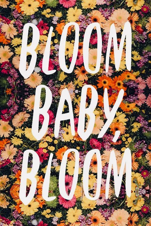bloom, baby bloom. | Cool words, Inspirational quotes, Pretty words