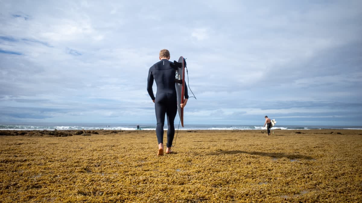 Interesting article about wetsuits, their origins, and design (wetties should be thicker in the extremities from research a Cal State San Marcos surf lab)