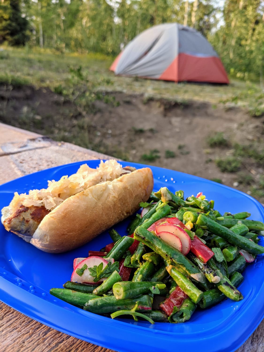 Kenjis Grilled Green Bean Salad With Red Peppers and Radishes. Turned out to be perfect for a campfire side. Easy to make and felt healthier than chips!