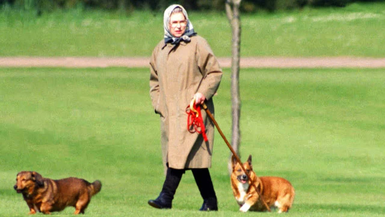 What Will Happen to Queen Elizabeth II’s Royal Pups?