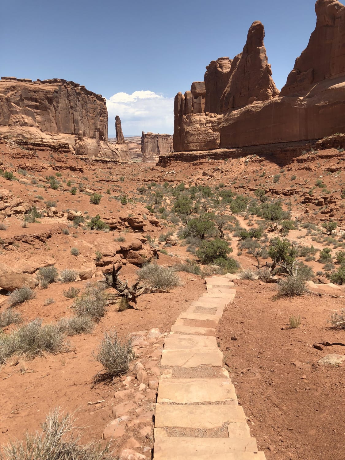 Celebrated 4th of July by hiking Arches National Park today