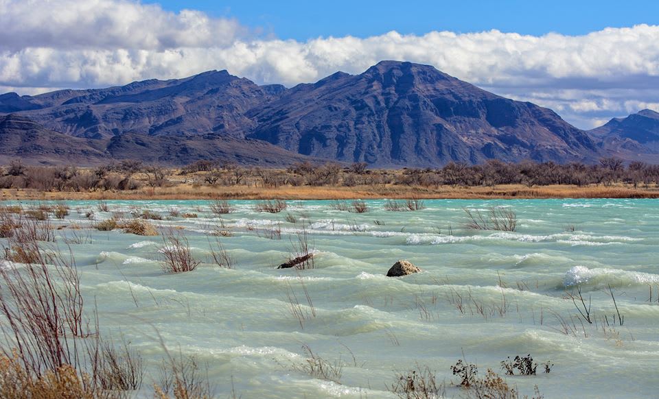 The bright blue waters at Ash Meadows National Wildlife Refuge are a surprise in the Nevada desert