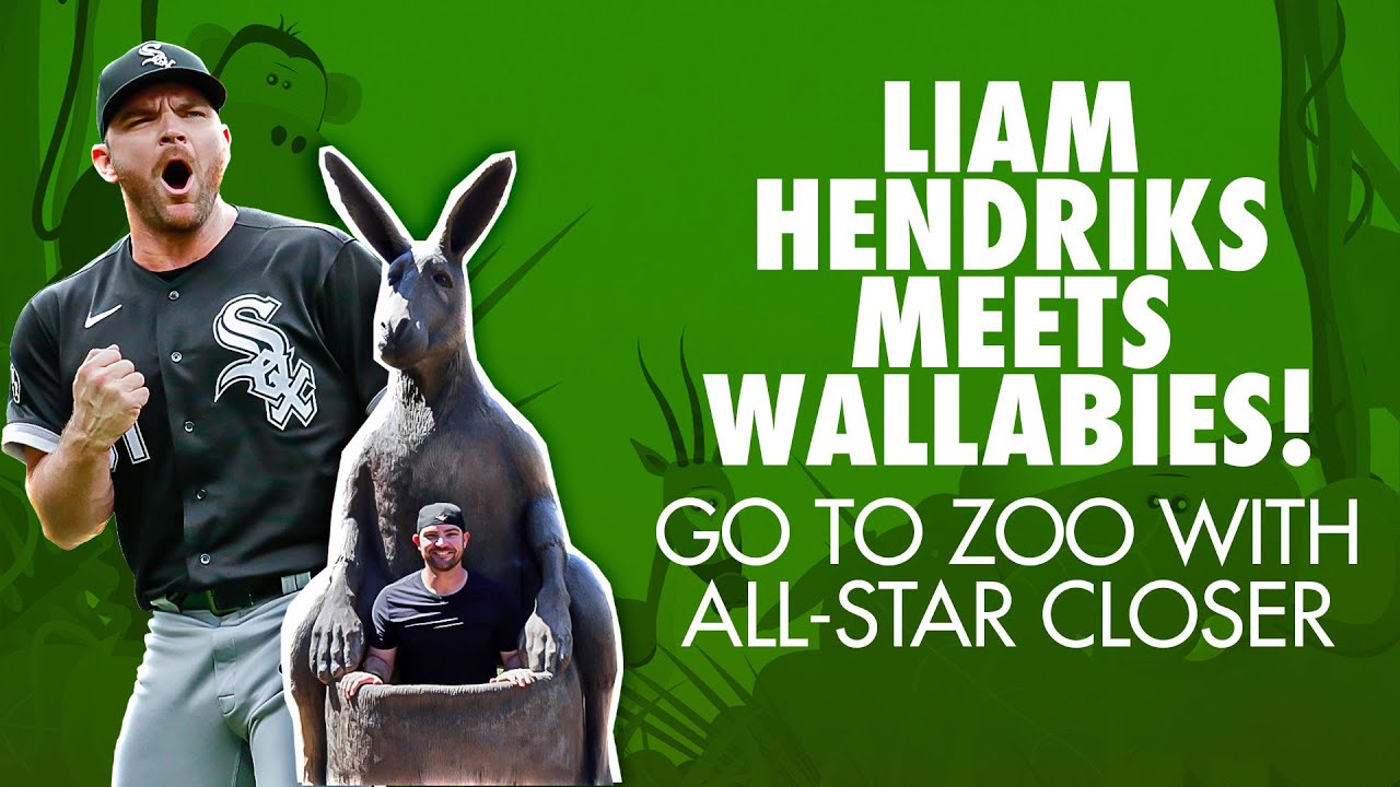 ZOO TOUR WITH LIAM! Aussie Liam Hendriks plays with ADORABLE wallabies, feeds goats & giraffes!