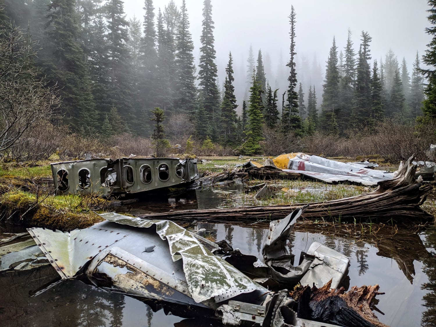 Wreckage from a 1952 B-17 crash. Buckhorn Wilderness, Olympic National Forest, Washington, USA