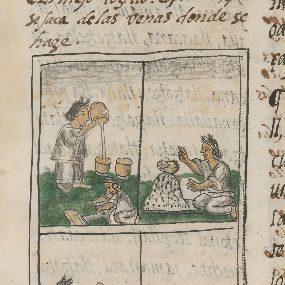 Today is #WorldChocolateDay. Here is an illustration of a woman frothing chocolate from the Florentine Codex, a 16th-century Nahuatl-Spanish encyclopedia. Central Mexican Nahuas drank it unsweetened, and would froth the beverage by pouring the drink from one vessel to another.