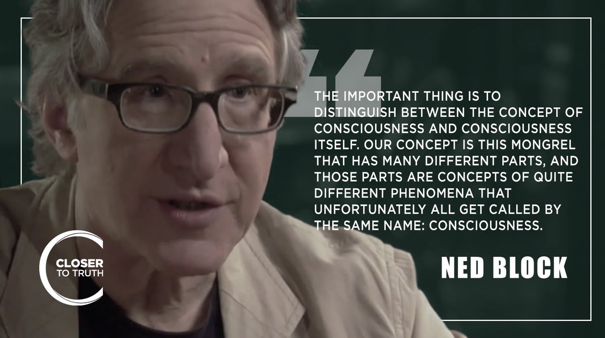 Ned Block is a philosopher working in philosophy of mind who has made important contributions to the understanding of consciousness and the philosophy of cognitive science. In this interview, he examines the essence of consciousness. Watch the series: