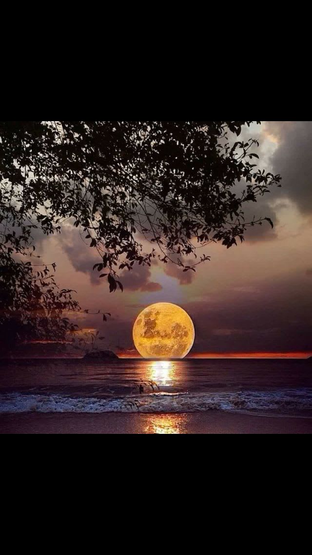 So Beautiful... | Beautiful moon, Beautiful nature, Beautiful sunset