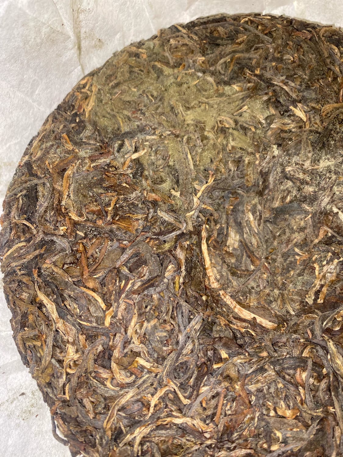 I recently got a puerh tea cake and I’m not sure if this is mold. Is it okay to consume it?
