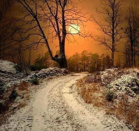 Pin by Méli Mélo on Sur le chemin | Landscape, Winter scenes, Nature