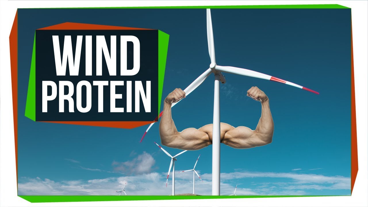 How Engineers Are Turning Wind into Protein Powder