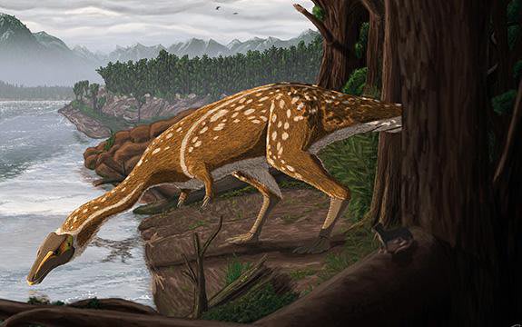 Rare 'Light-Footed' Dinosaur Discovered in Australia for the First Time