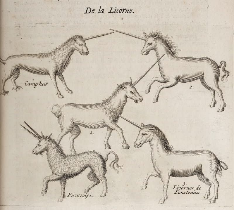 Happy #UnicornDay! A fine time to delve into @the_manticore_'s essay "Greenland Unicorns and the Magical Alicorn", which explores a fascinating convergence of established folklore, nascent science, and pharmaceutical economy....