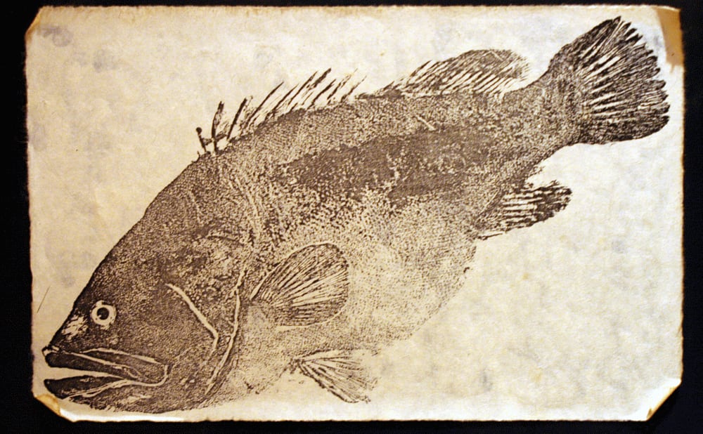 Historic Prints Made by Japanese Fishermen Help Track Endangered Species