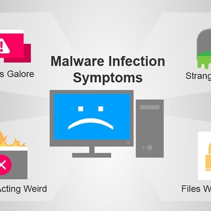 Malware could not. Malwarebytes chameleon. Malware could not. Malware could not. Как выглядит фишинговый сайт.