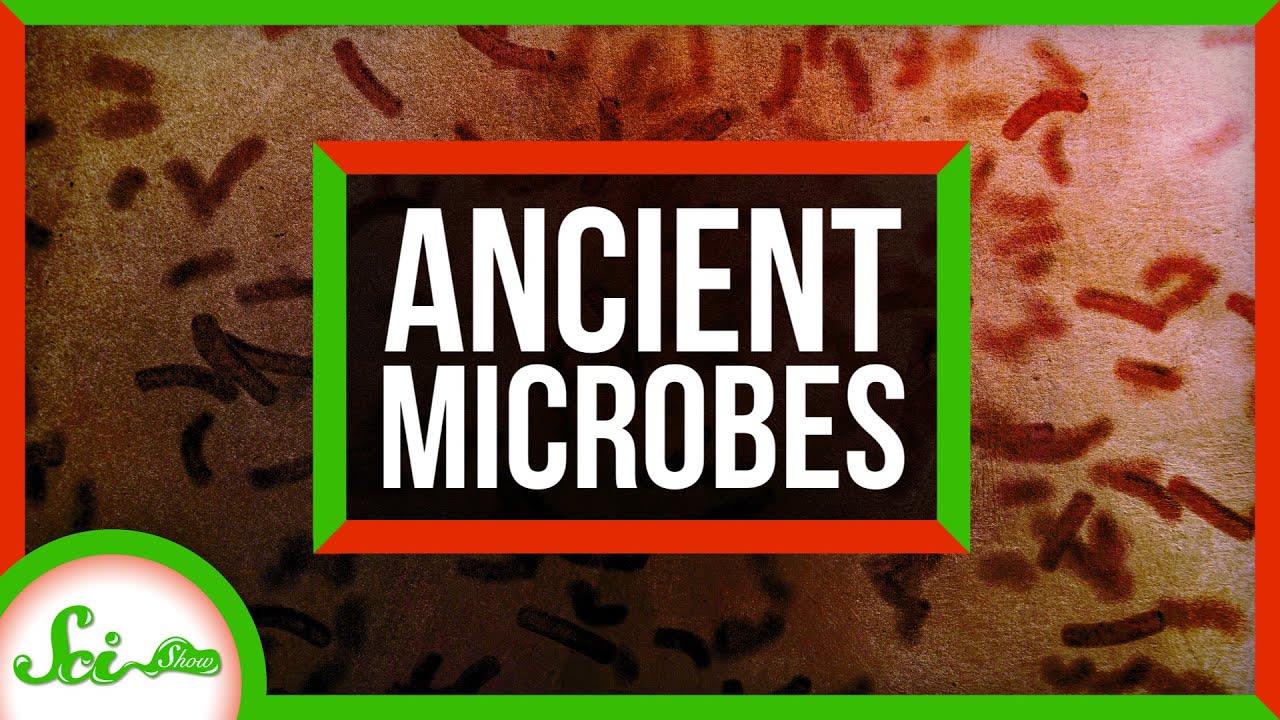 These 100-Million-Year-Old Microbes Are Still Alive!