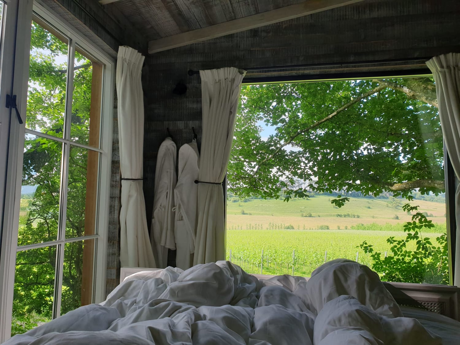 Waking up in a treehouse - Hampshire, UK