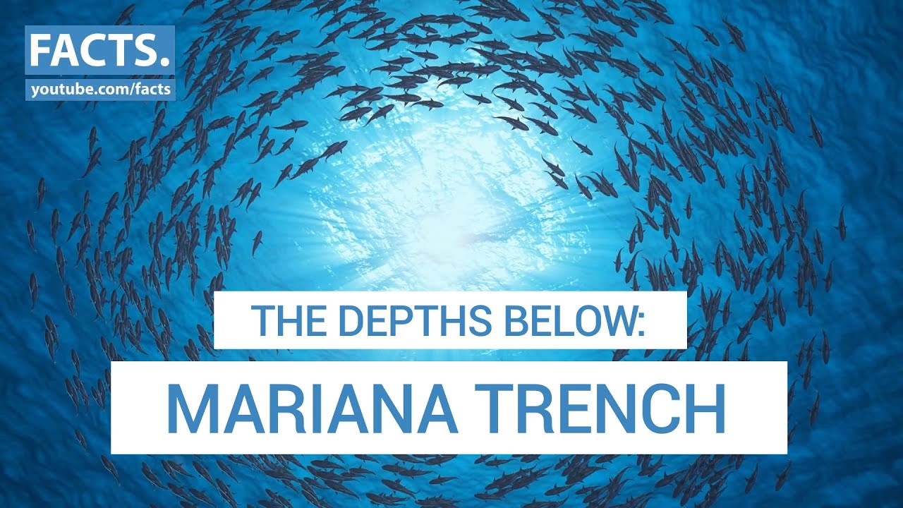 The Depths Below: Mariana Trench