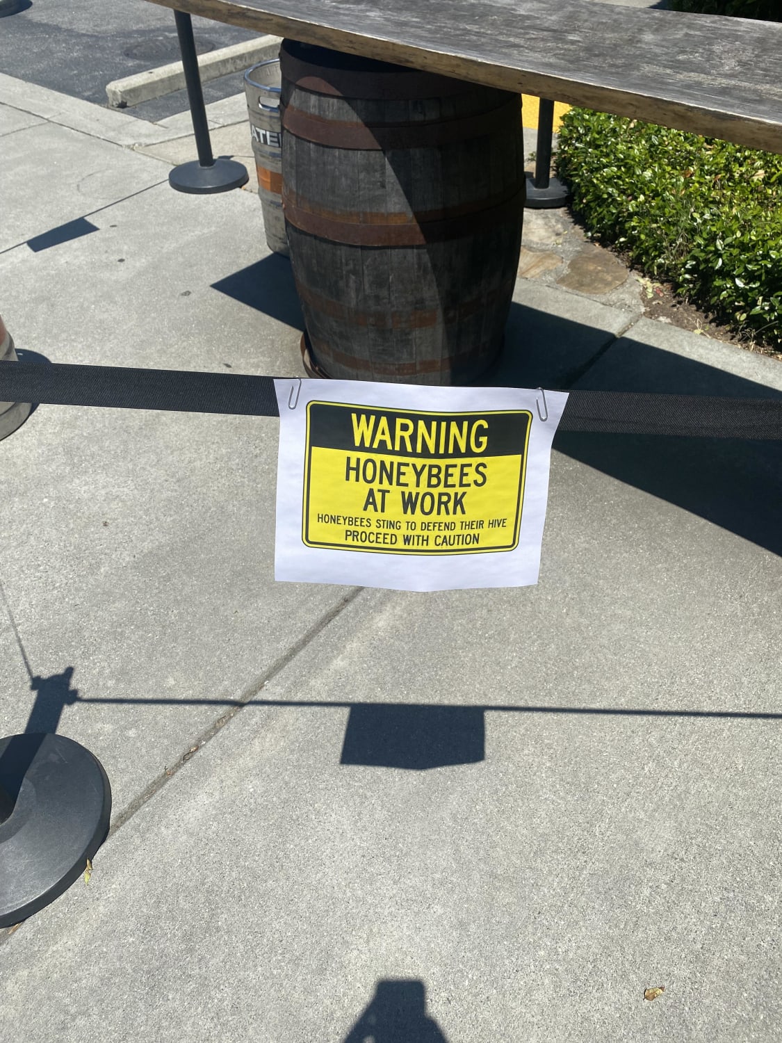 The brewery I work at has some pollen buddies. Instead of killing them they just put up signs warning customers to not mess with the hive.