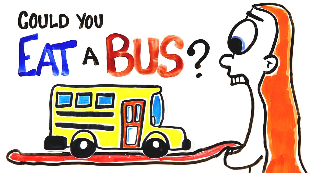 Can You Actually Eat A Bus?