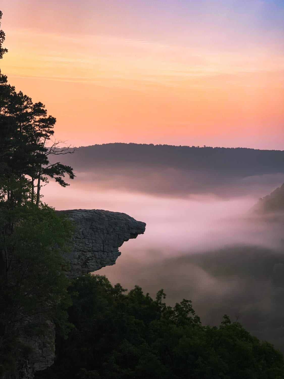 Don't think I've ever seen Arkansas posted on here before. Caught this gorgeous sunrise in Ozark National Forest.