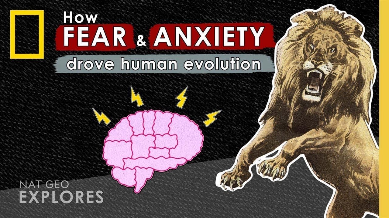 How Fear and Anxiety Drove Human Evolution | Nat Geo Explores