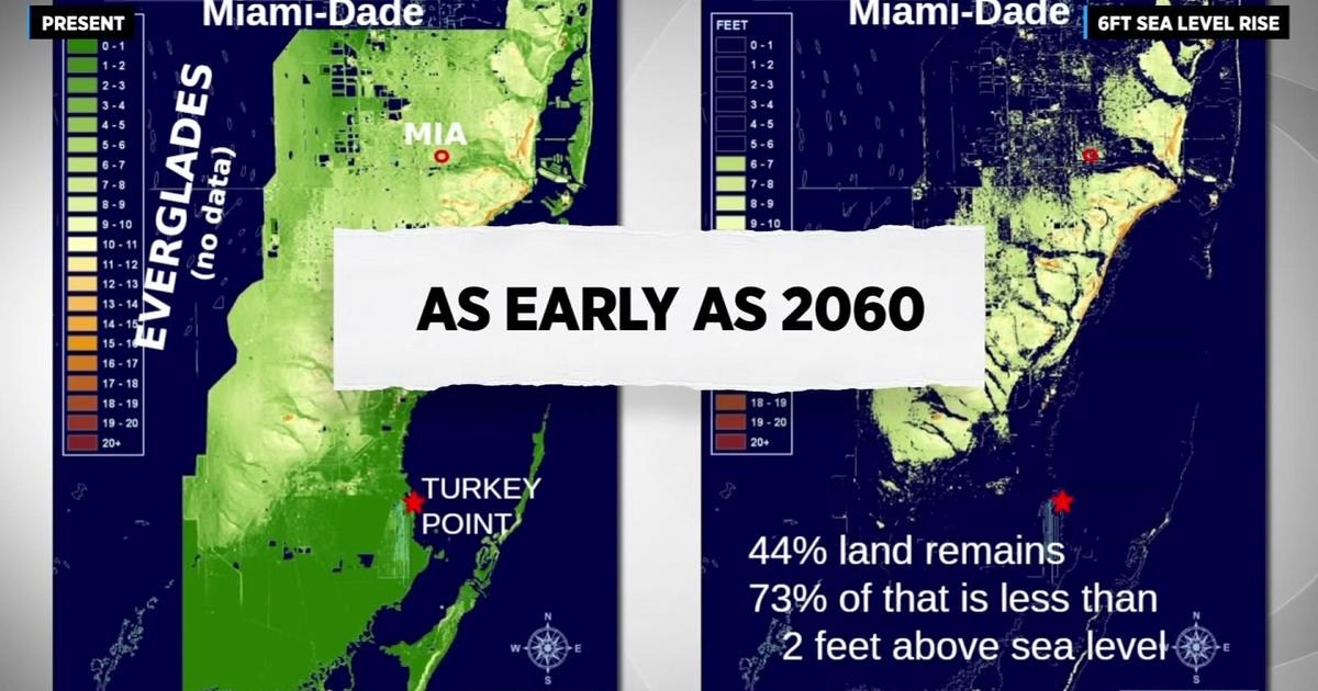 Scientists warn South Florida coastal cities will be affected by sea level rise -