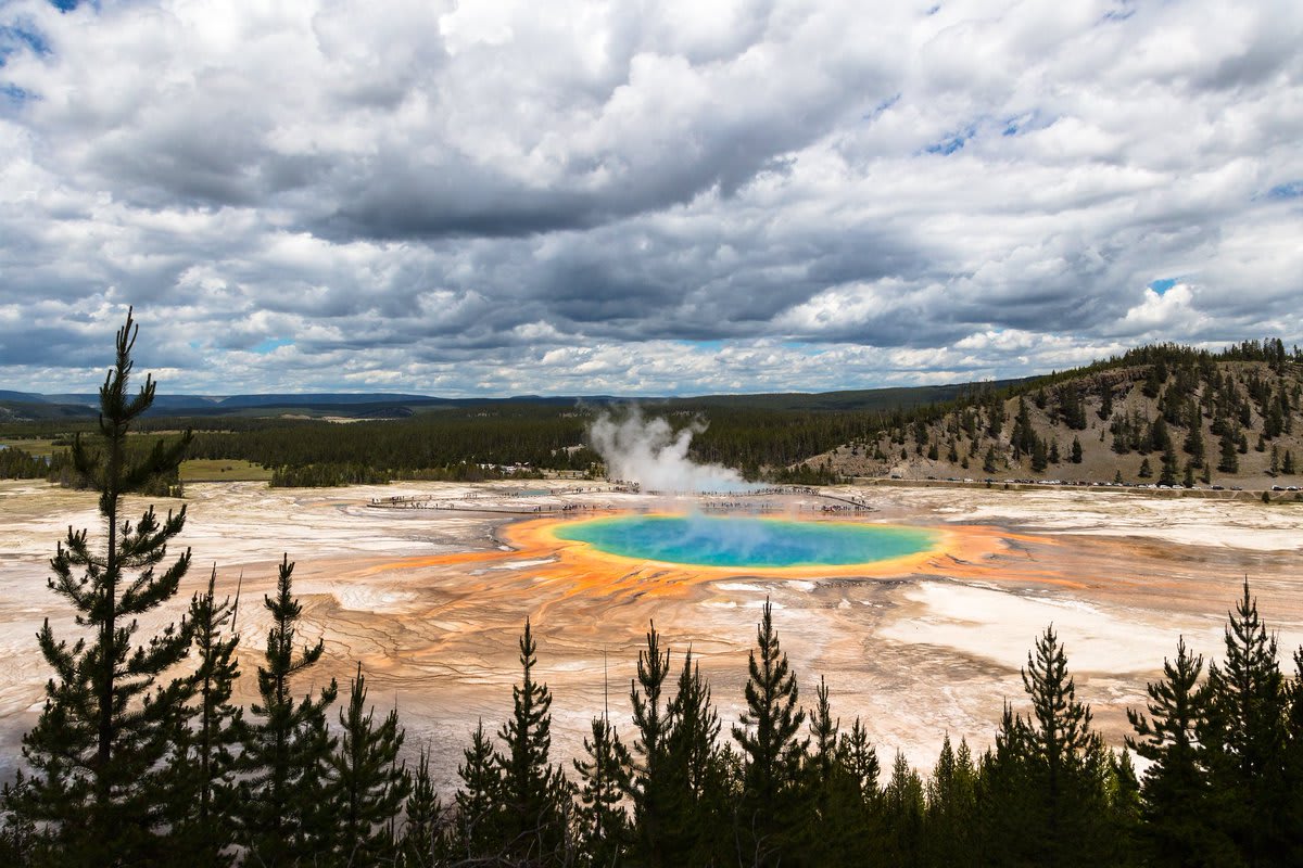 Bands of heat-loving microorganisms form rings of color around Grand Prismatic Spring