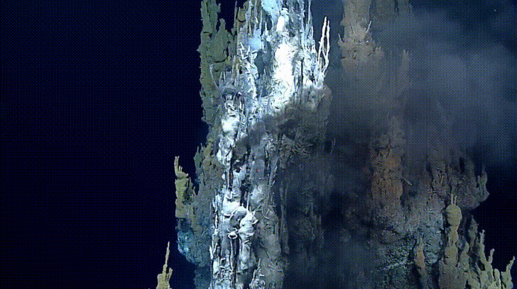 Organisms that live around hydrothermal vents do not rely on sunlight and photosynthesis. Instead, archaea, the first living organisms in existence, use a process called chemosynthesis to convert toxic minerals and chemicals into nutrients. Without them, no multicellular life would exist on Earth.