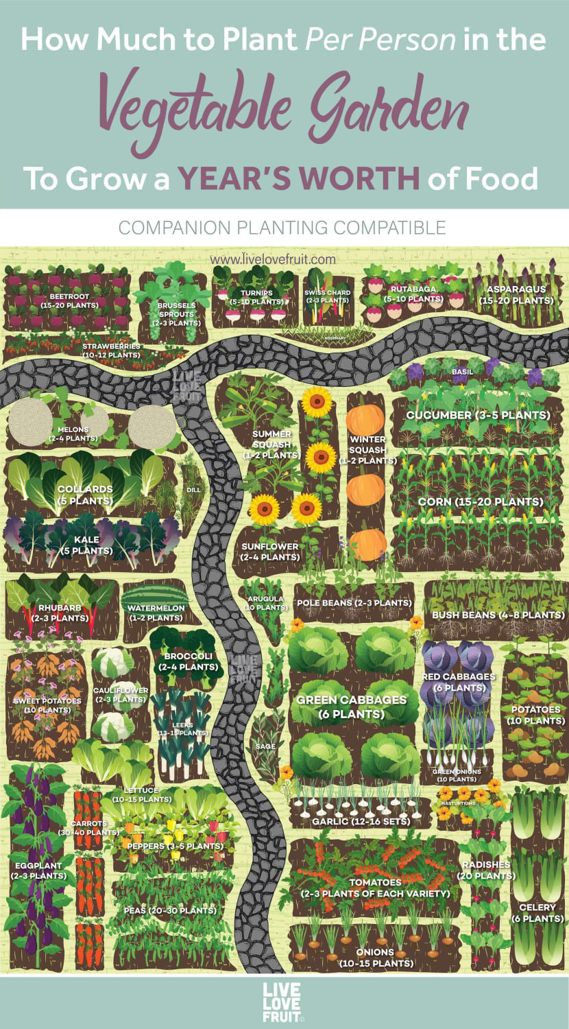 How Much to Plant Per Person in the Vegetable Garden for a Year’s Worth of Food