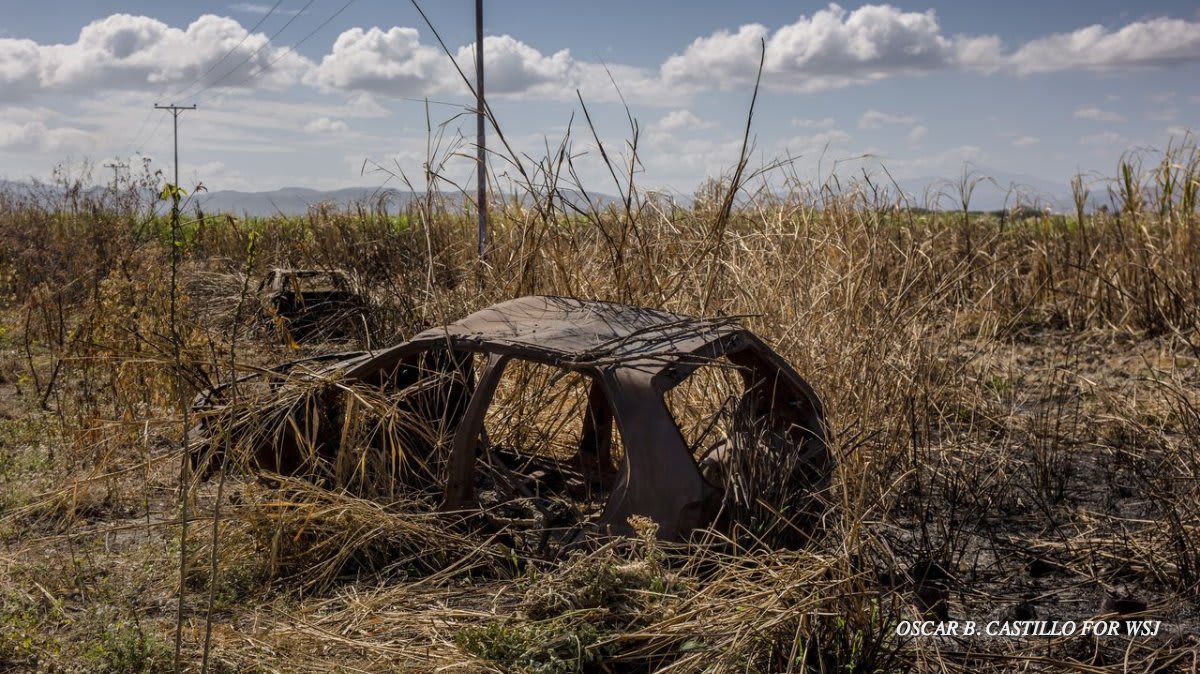 Catching rabbits has been one way to add meat to rural Venezuelans’ meager diets. Now that hunt has left one community numb with loss.