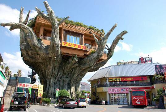 This treehouse cafe in Okinawa, Japan