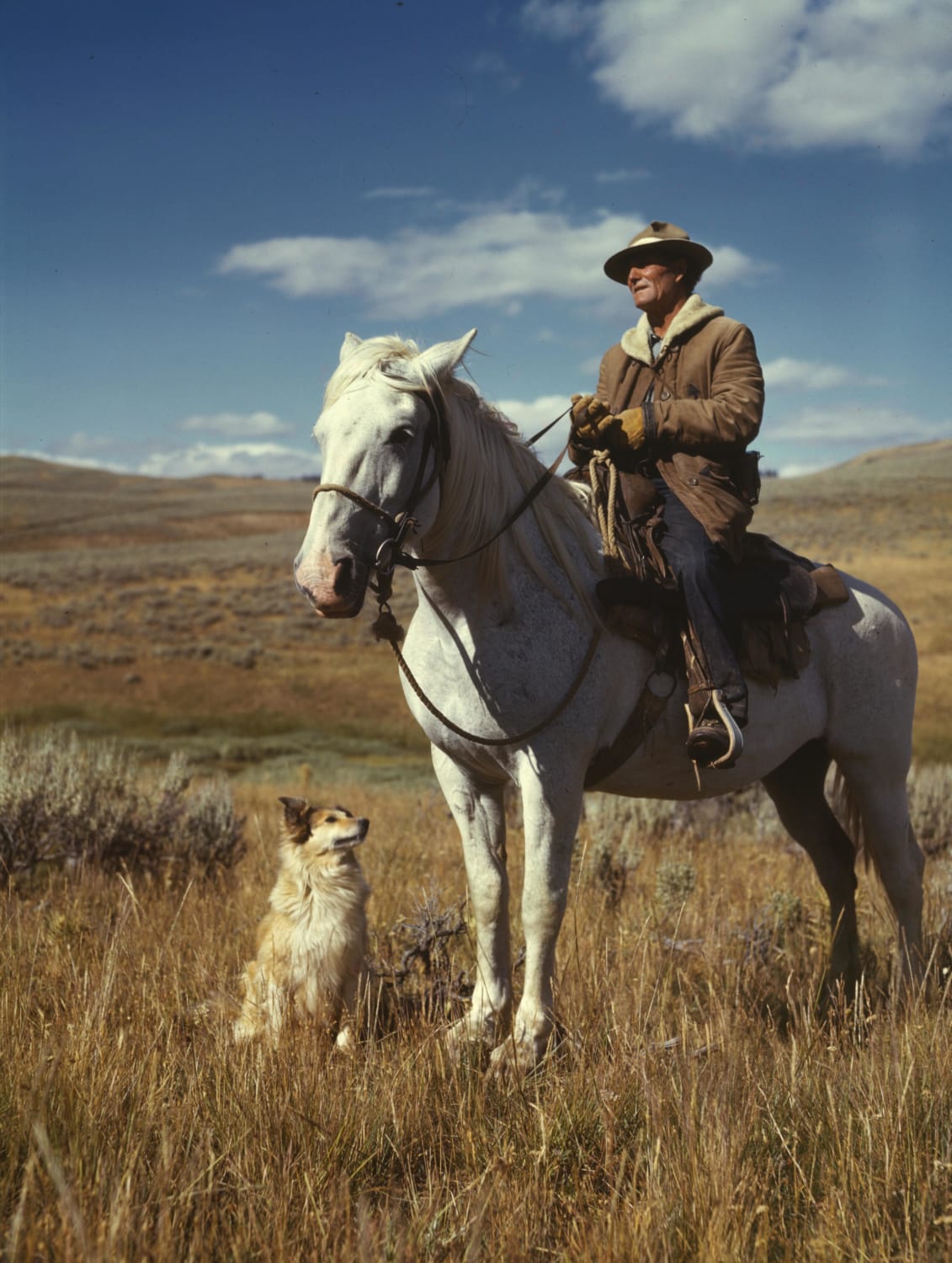 Shepherd with his horse and dog on Gravelly Range, Madison County, Montana, August 1942