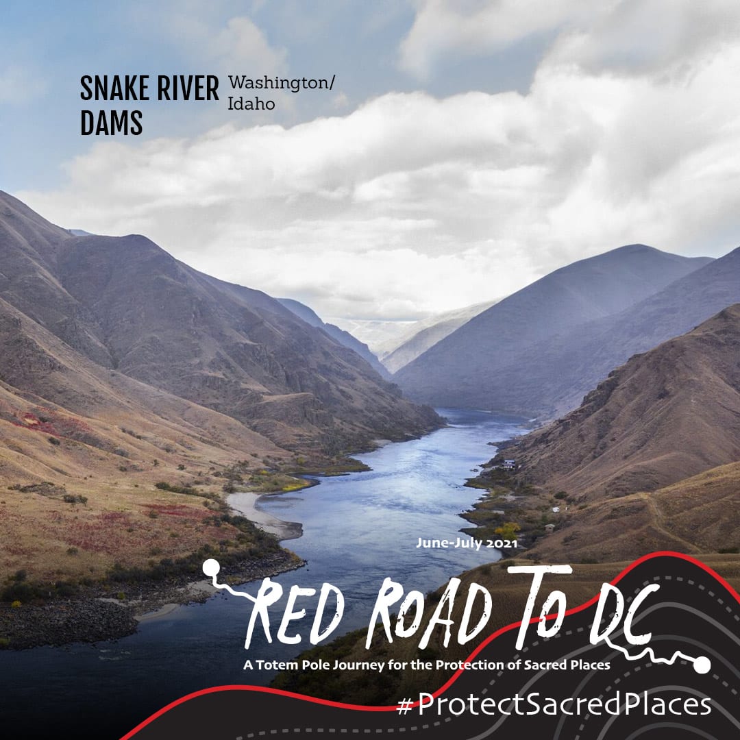 The RedRoadToDC journey has arrived at the Snake River. Dams threaten wild salmon by warming waters & blocking access to spawning grounds. Extinction of this fish would have deep cultural, ecological, & economic ramifications.
