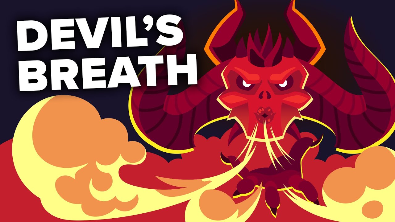 Devil’s Breath - World’s Scariest Drug?
