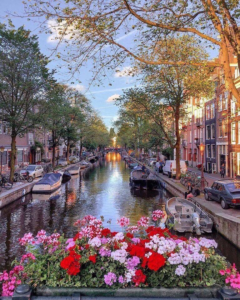 Spring in Amsterdam 🌸💐