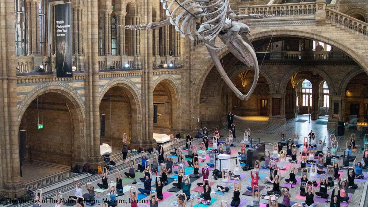 Did you know the NHMYoga classes also include exclusive access to the Wildlife Photographer of the Year exhibition before it opens to the public? There are still a few tickets left for this Sunday. Book now: