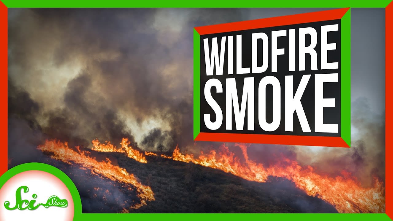 What You Need to Know About Wildfire Smoke | SciShow News