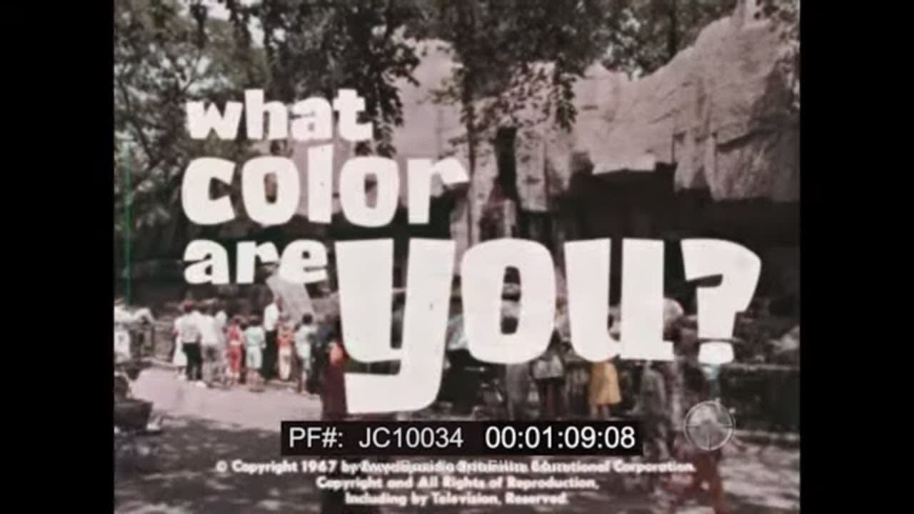 " WHAT COLOR ARE YOU? " 1967 RACE, ETHNICITY & SKIN TONE SOCIAL GUIDANCE EDUCATIONAL FILM JC10034