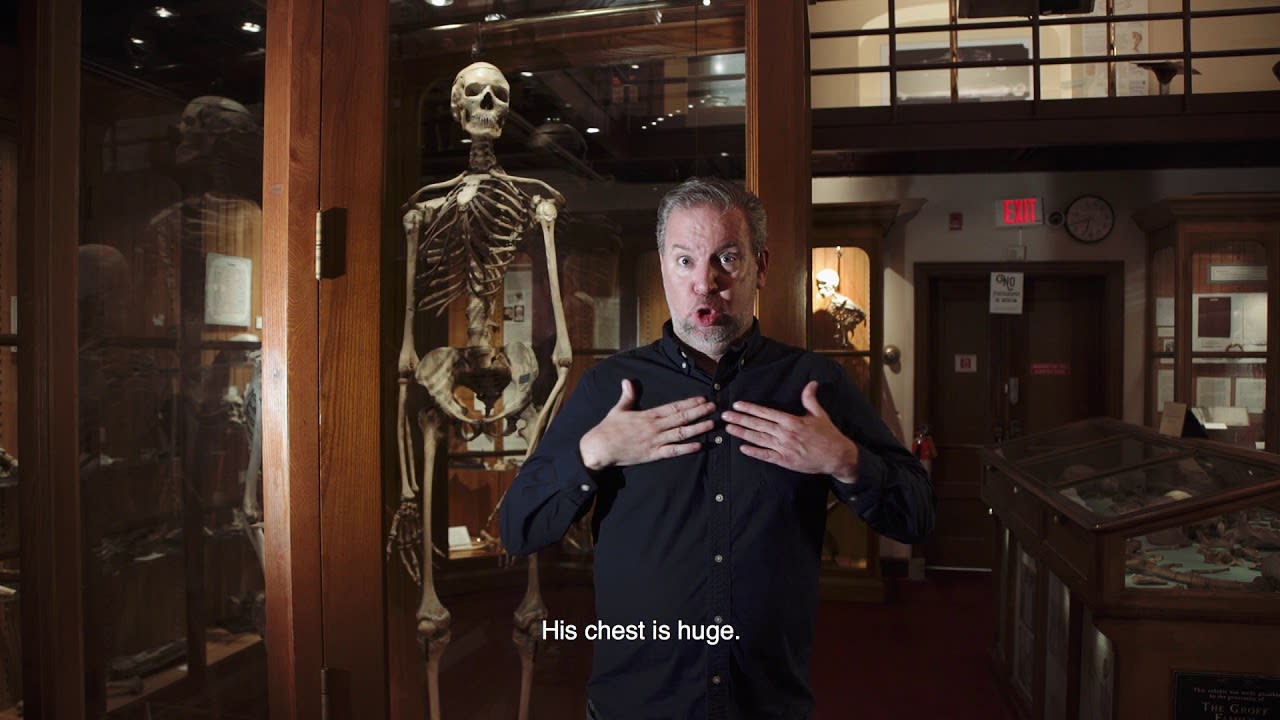 Mütter Museum American Sign Language Tour: American Giant