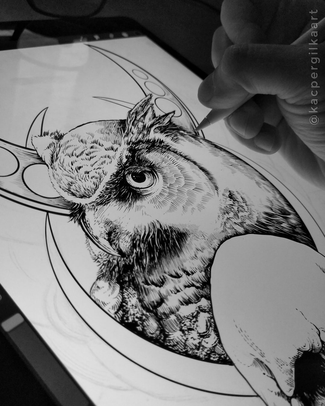 Owl illustration I drew some time ago. It was sold to metal band