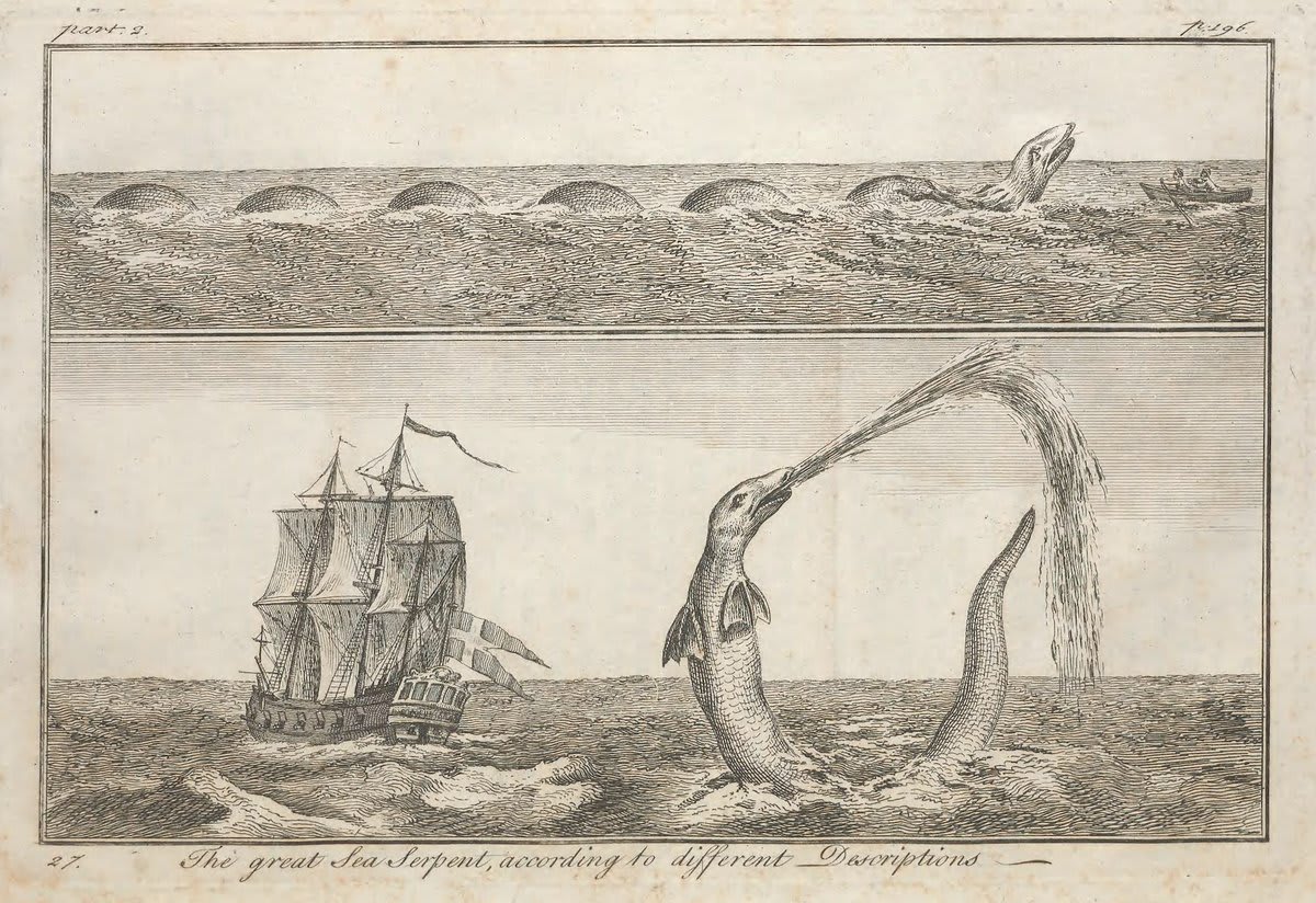 Depictions of the "Great Sea Serpent", as featured in Pontoppidan's Natural History of Norway (1753). Joseph Nigg explores the legacy of the controversial Great Norway Serpent from its beginnings in the medieval imagination to modern cryptozoology: