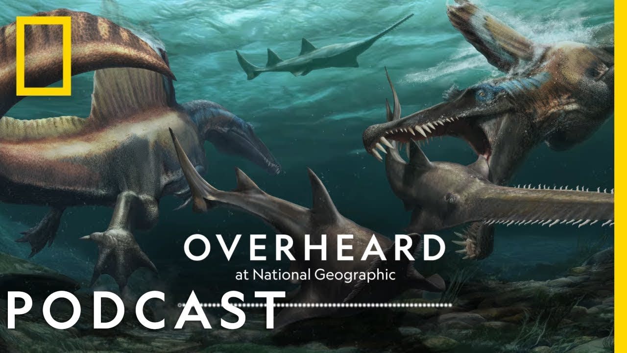 The Strange Tail of Spinosaurus | Podcast | Overheard at National Geographic