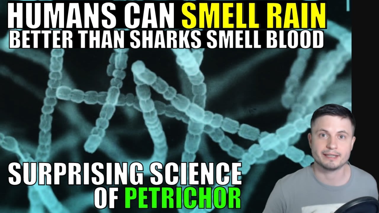 Humans Smell Rain Better Than Sharks Smell Blood - Science of Petrichor [8:18]