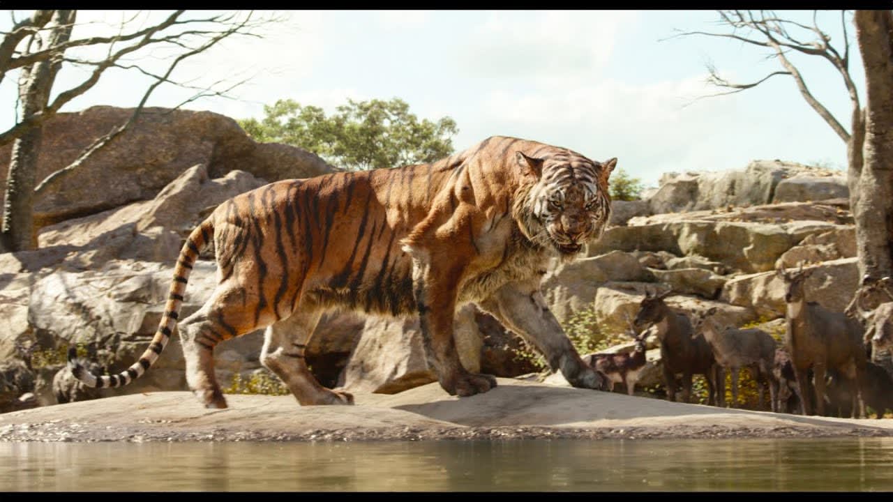"Intro to Shere Khan" Clip - Disney's The Jungle Book