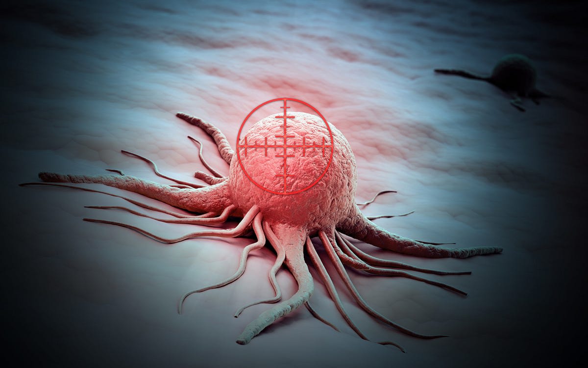 Scientists have discovered how to enhance the aggression of the immune system in order to target cancer cells