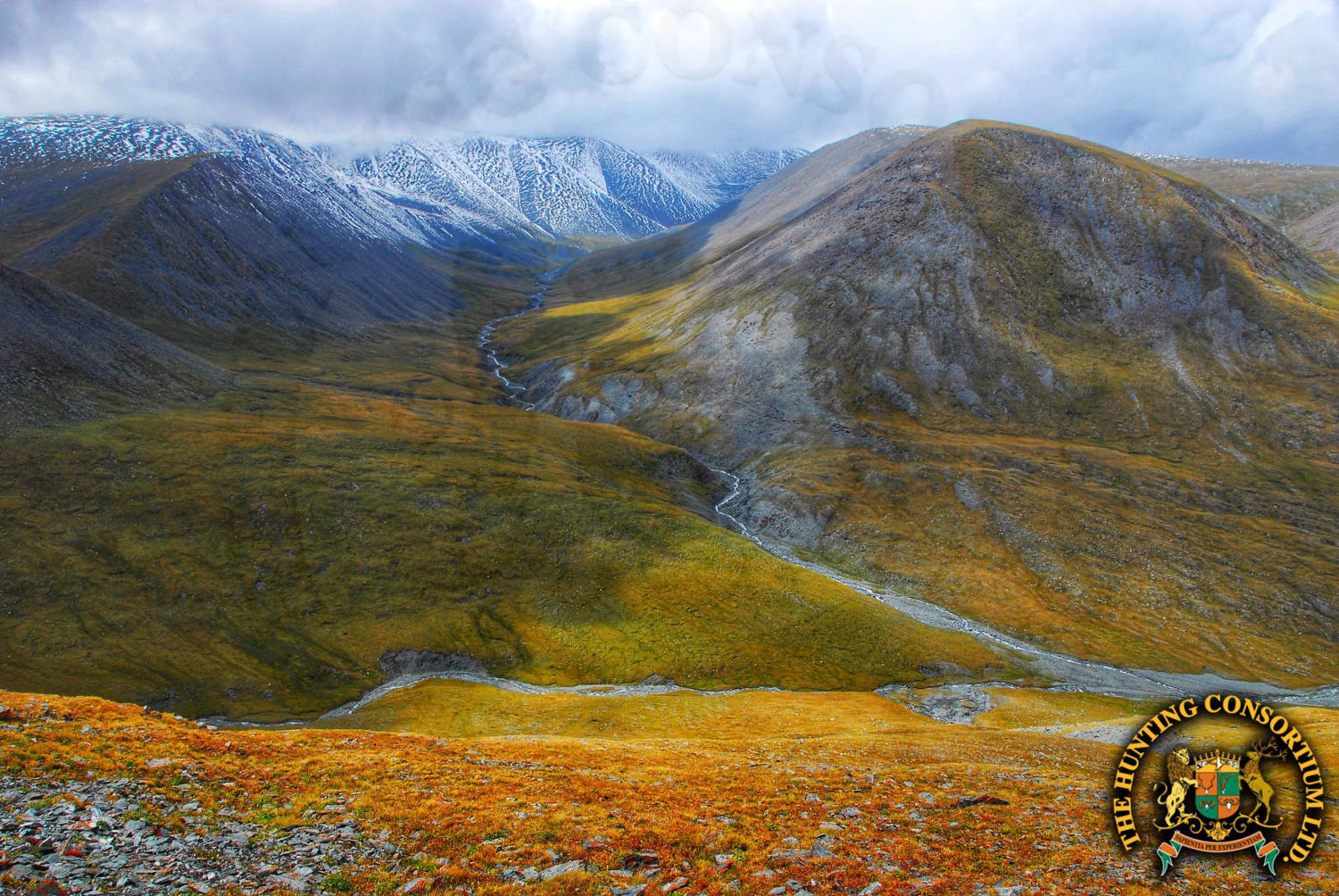 The mountains of Mongolia are truly captivating. It seems more like a depiction of middle earth of Lord of the Rings than the Altai sheep country.