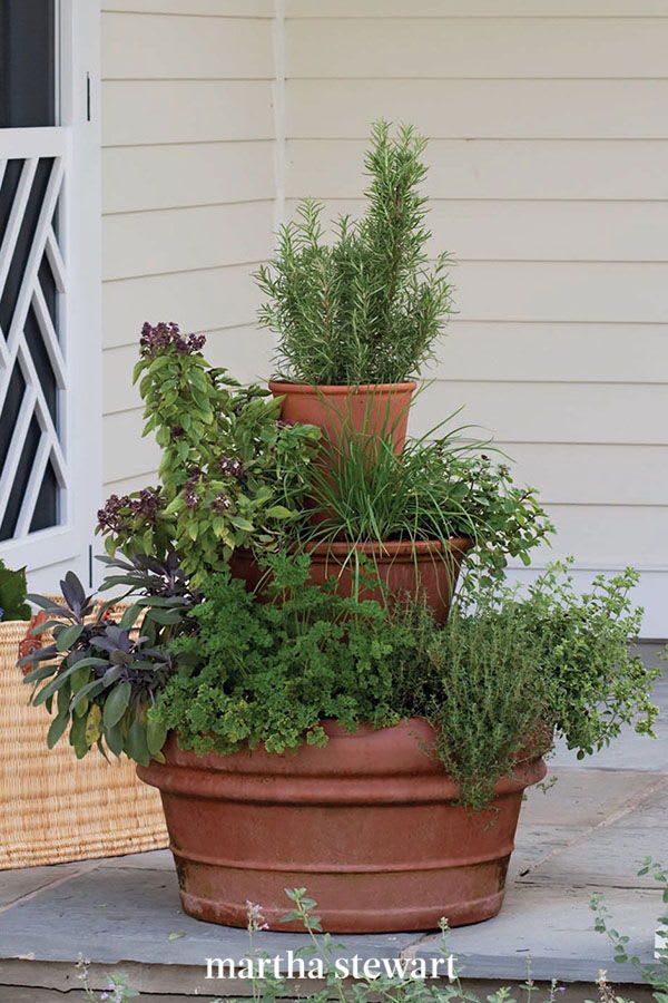DIY Container Garden Ideas for Any Home